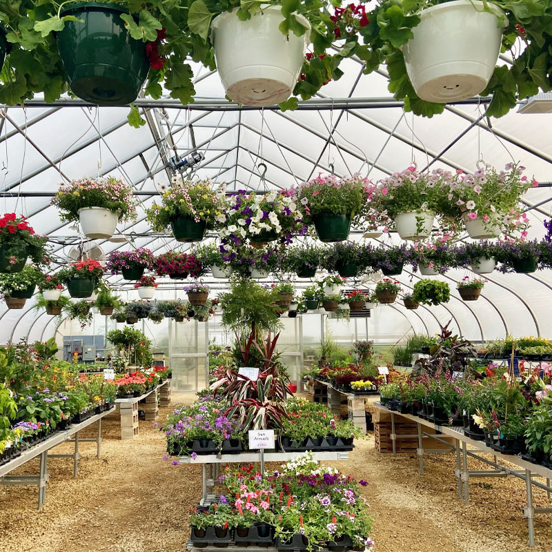 Jada's Garden, LLC in Blue Mounds, WI