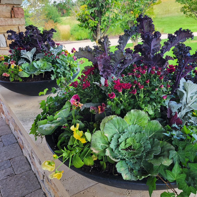 Jada's Garden, LLC in Blue Mounds, WI (3)
