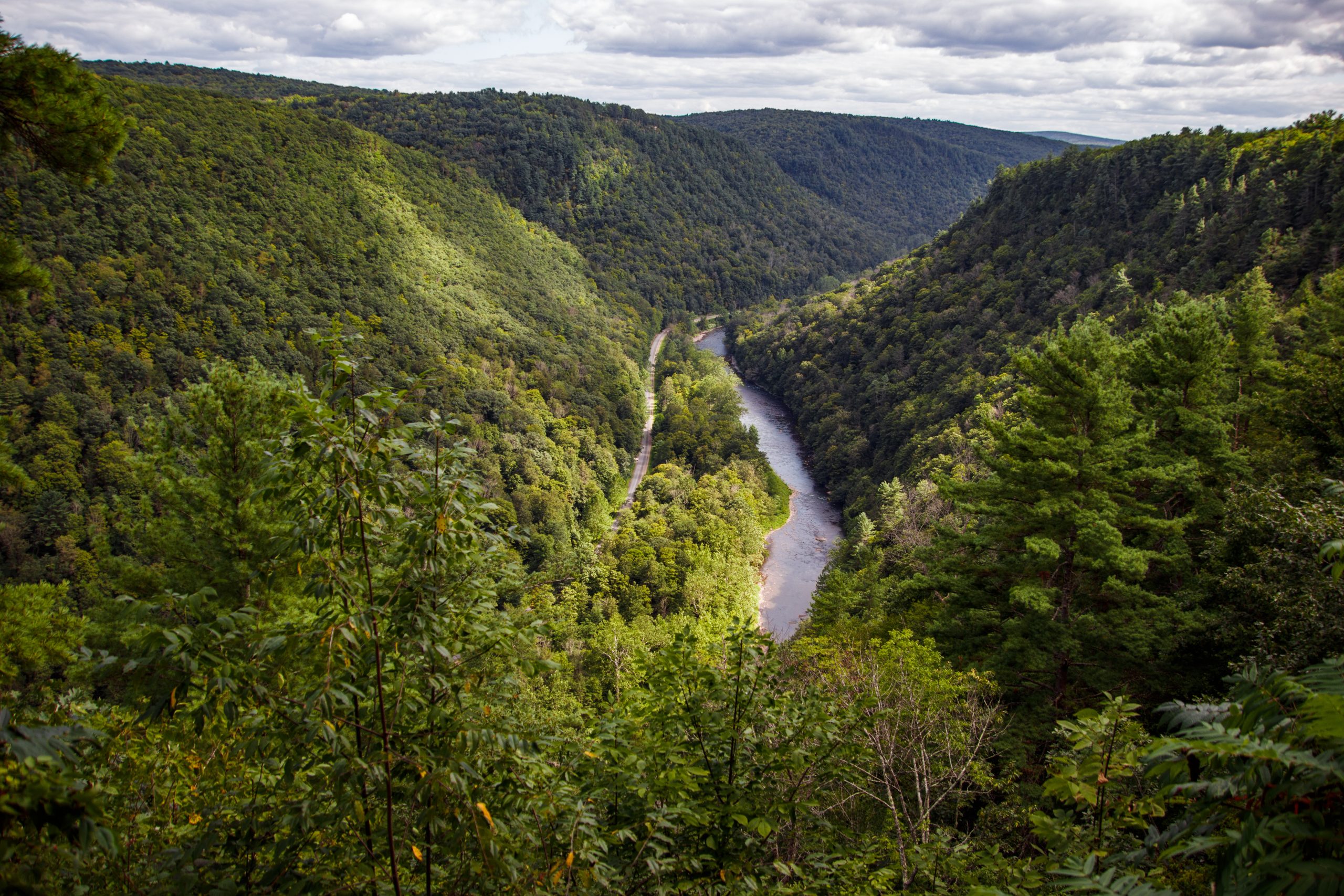 Mountain Notary & Tag in Wellsboro, PA (2)