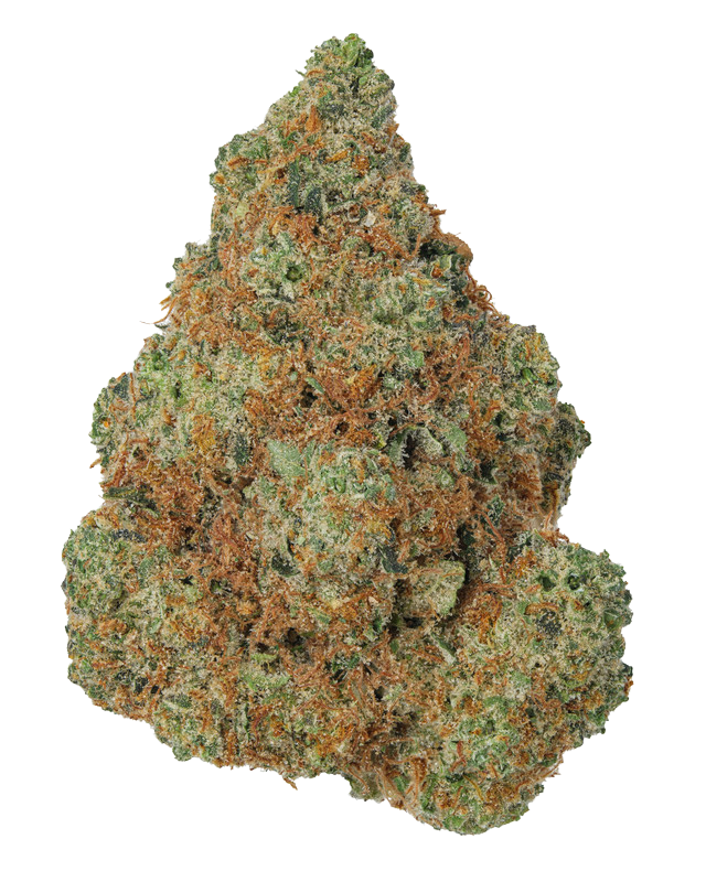 Brevard Hemp in Brevard, NC