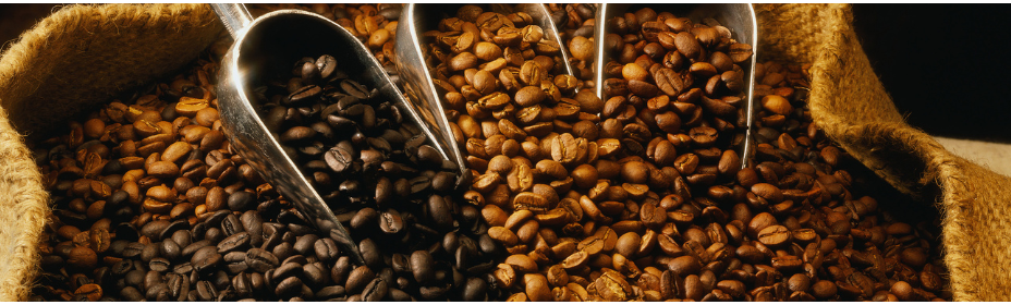 ContempoRoast Coffee & Roastery in Centerville, OH
