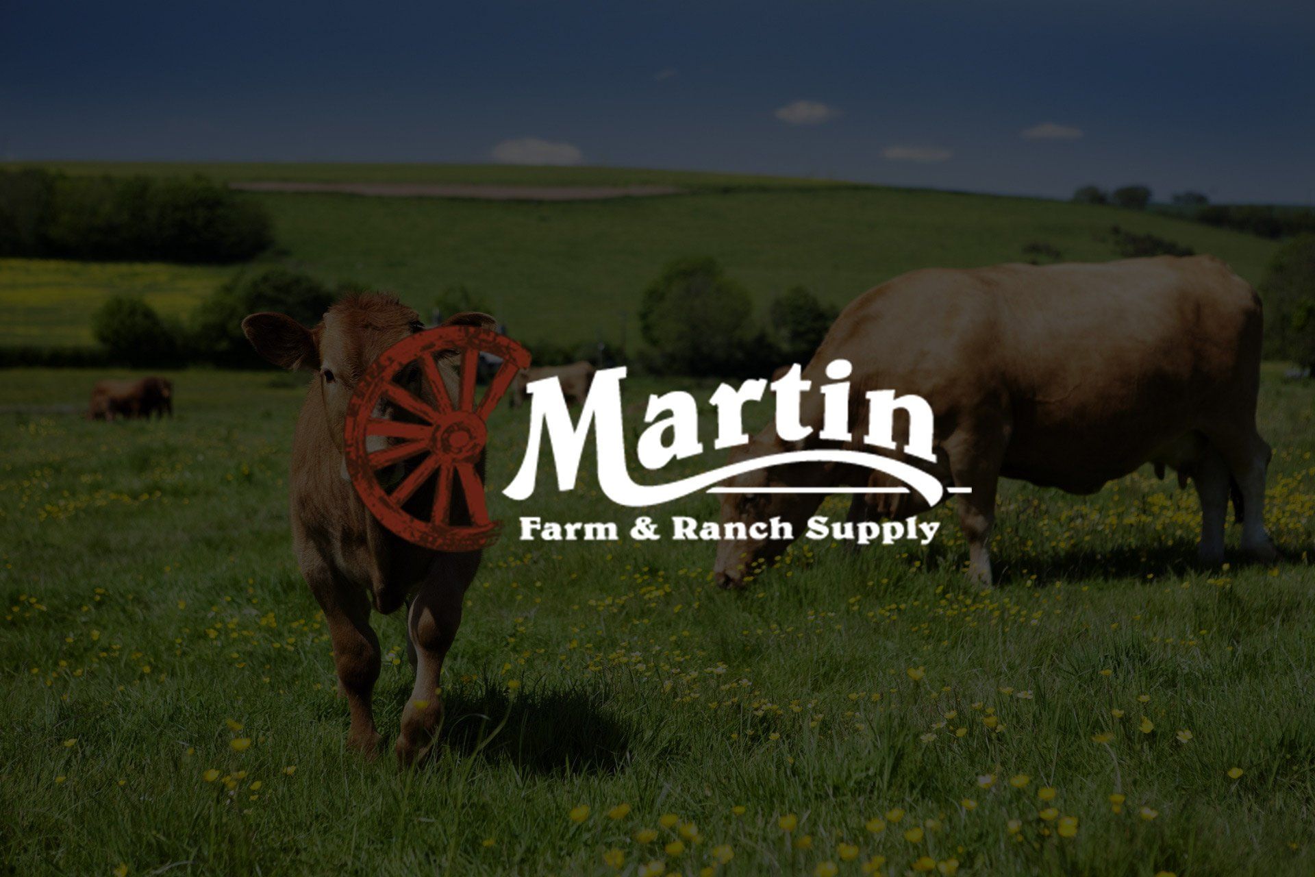 Martin Farm & Ranch Supply Inc in Edinburg, TX (2)