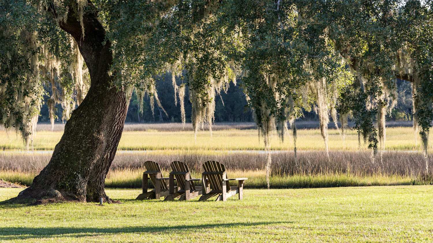 Akers Ellis Real Estate & Rentals in Johns Island, SC
