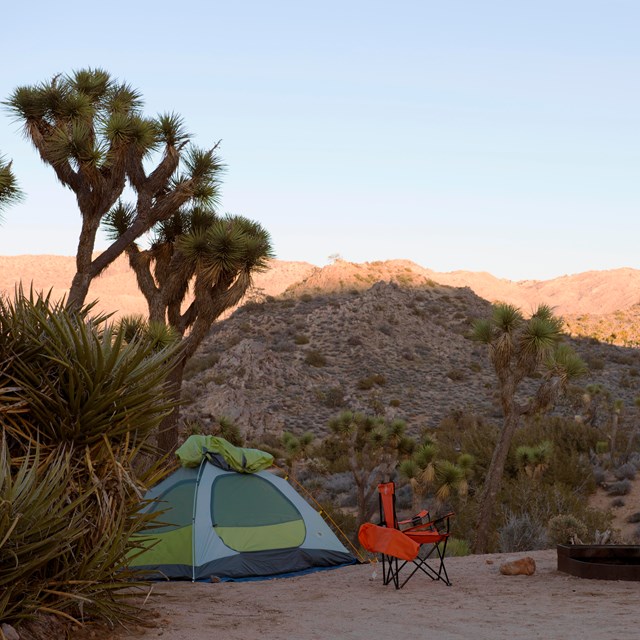 Black Rock Canyon Campground in Yucca Valley, CA (3)