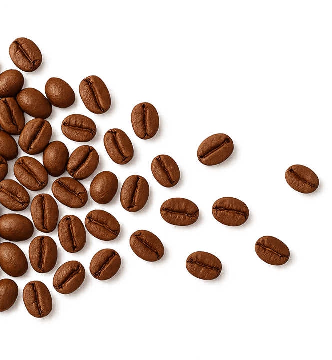 Blackwater Roasters in Seneca, SC (3)