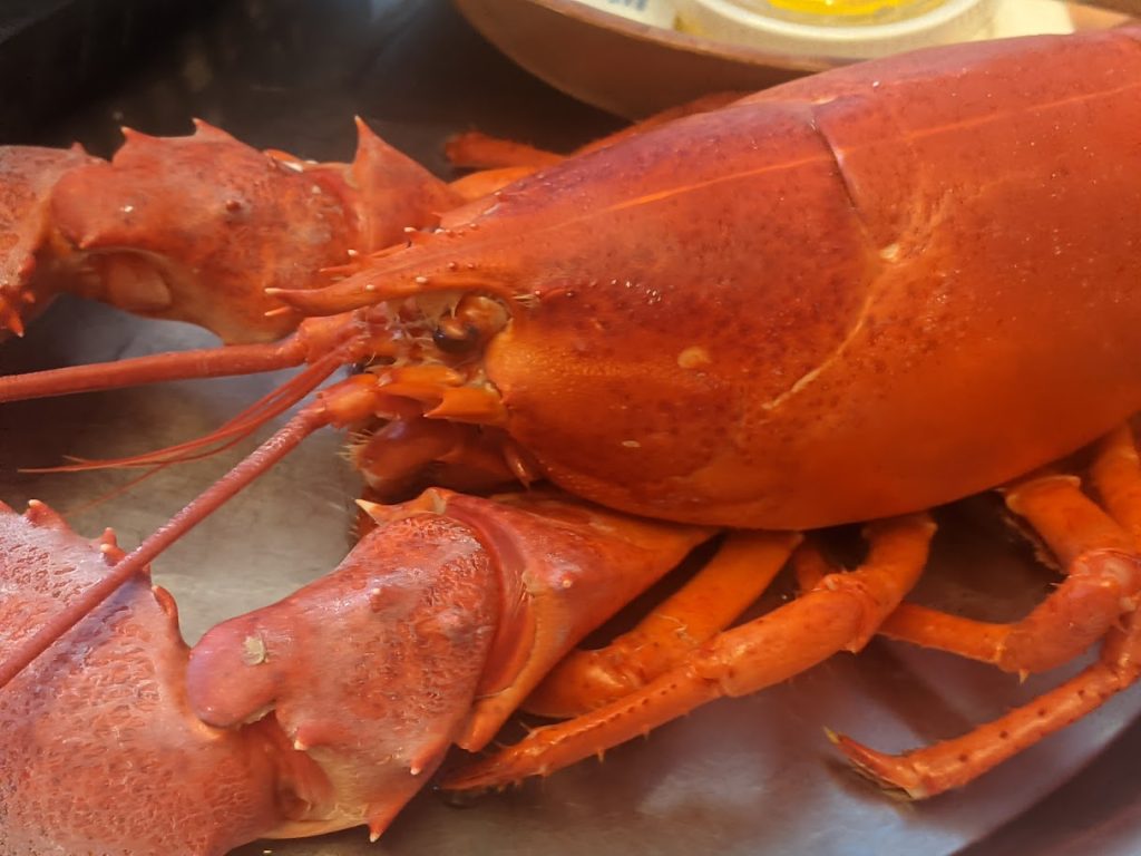 Jazzy's Mainely Lobster in Cocoa Beach, FL (5)