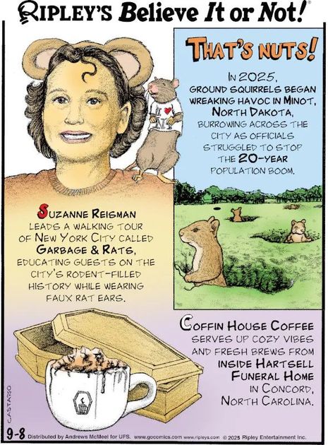 Coffin House Coffee in Concord, NC (3)