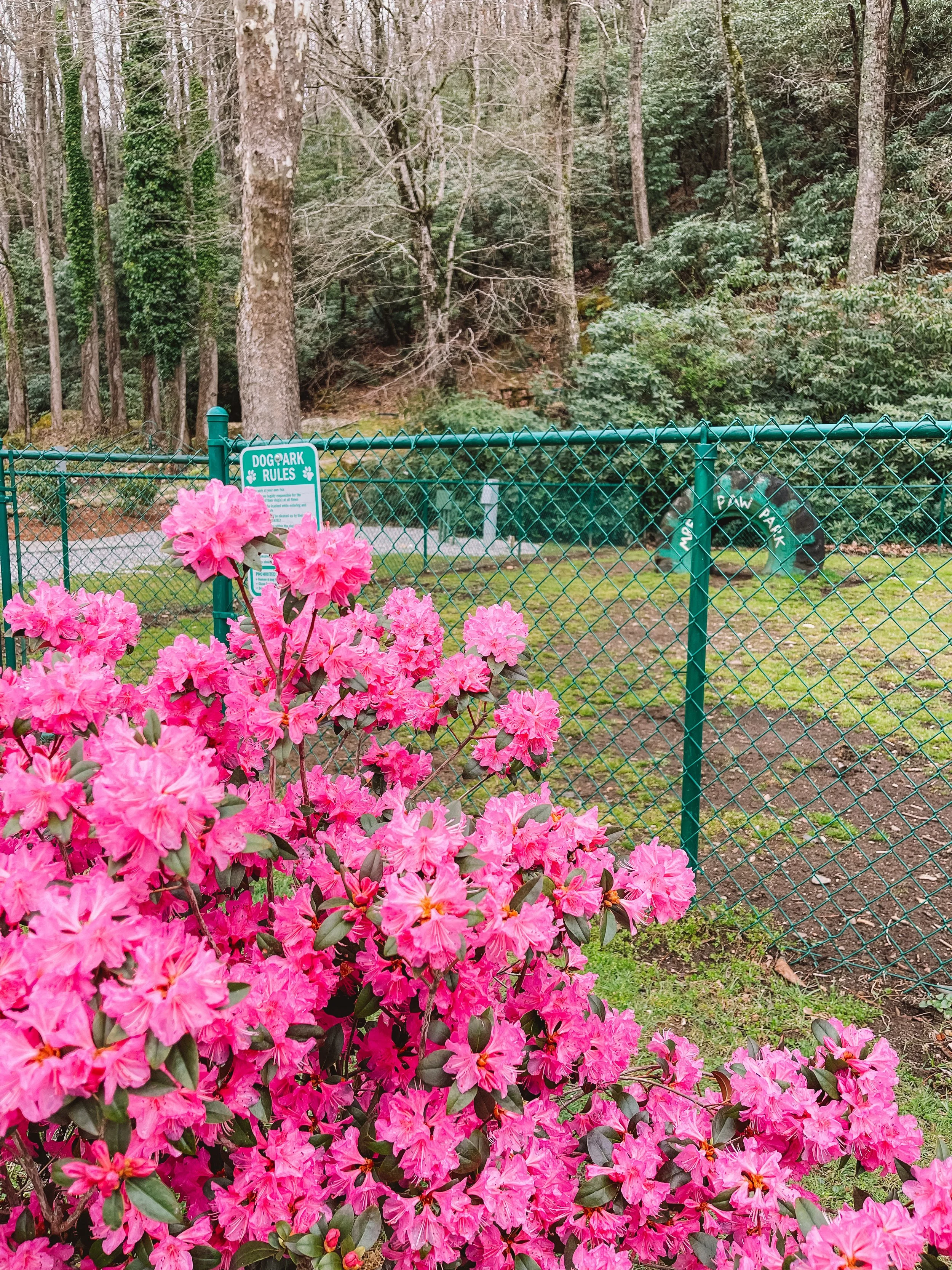 Mountain River Family Campground in Newland, NC (2)