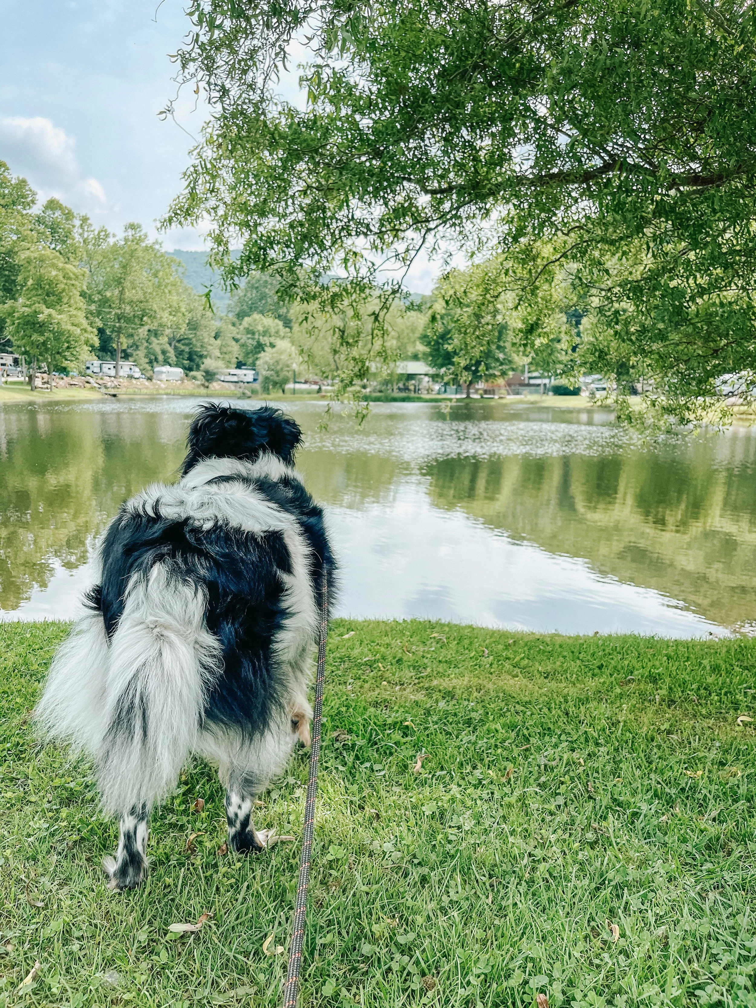 Mountain River Family Campground in Newland, NC (3)