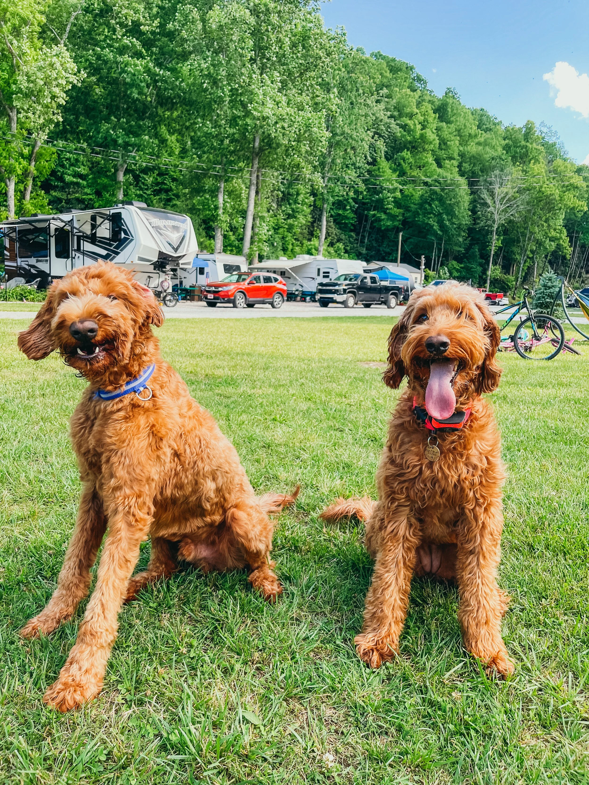 Mountain River Family Campground in Newland, NC (4)