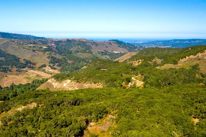 Barbara J. Weidman, Compass in Carmel-By-The-Sea, CA (6)