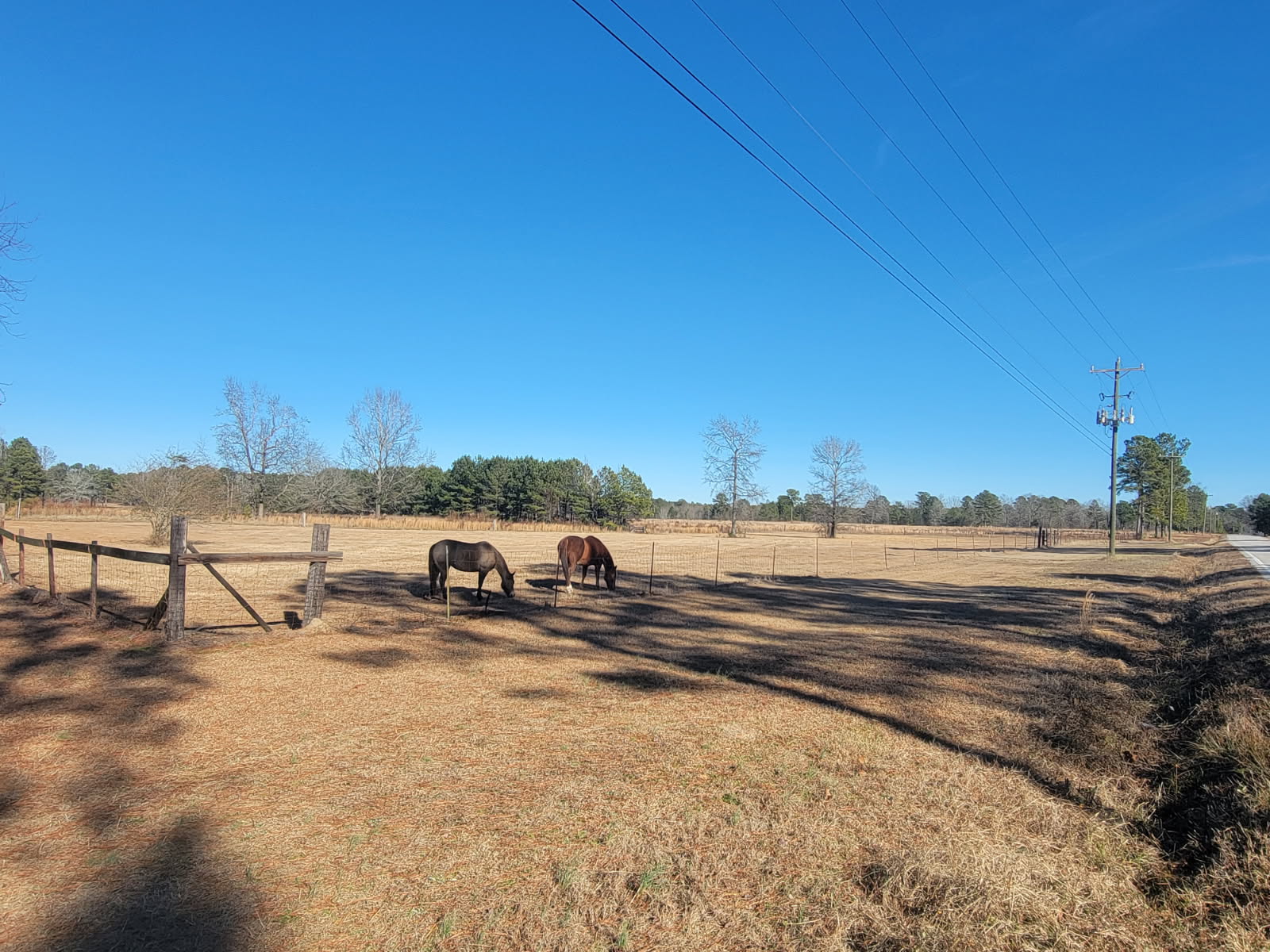 Bullard Realty in Bennettsville, SC (6)