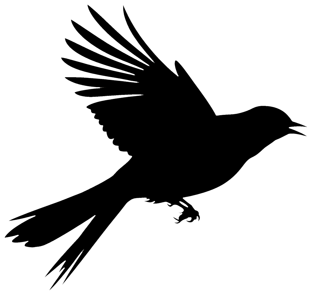 Blackbird Massage in Cedar Park, TX (4)