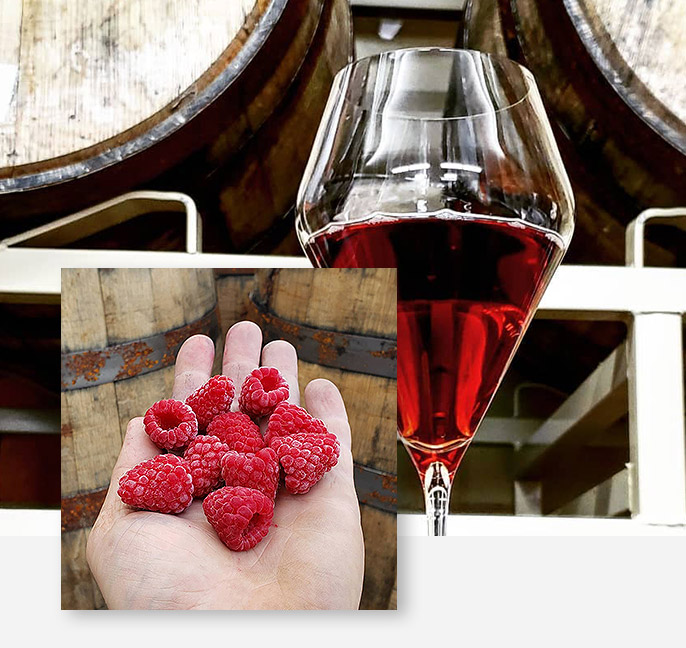 Manic Mead. Wine. Cider in Crown Point, IN