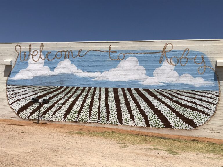 Williamson Branson Real Estate in Rotan, TX (3)
