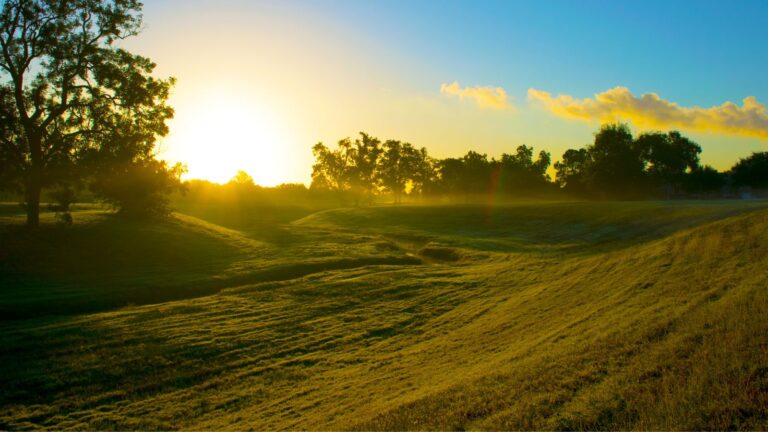 Williamson Branson Real Estate in Rotan, TX (6)