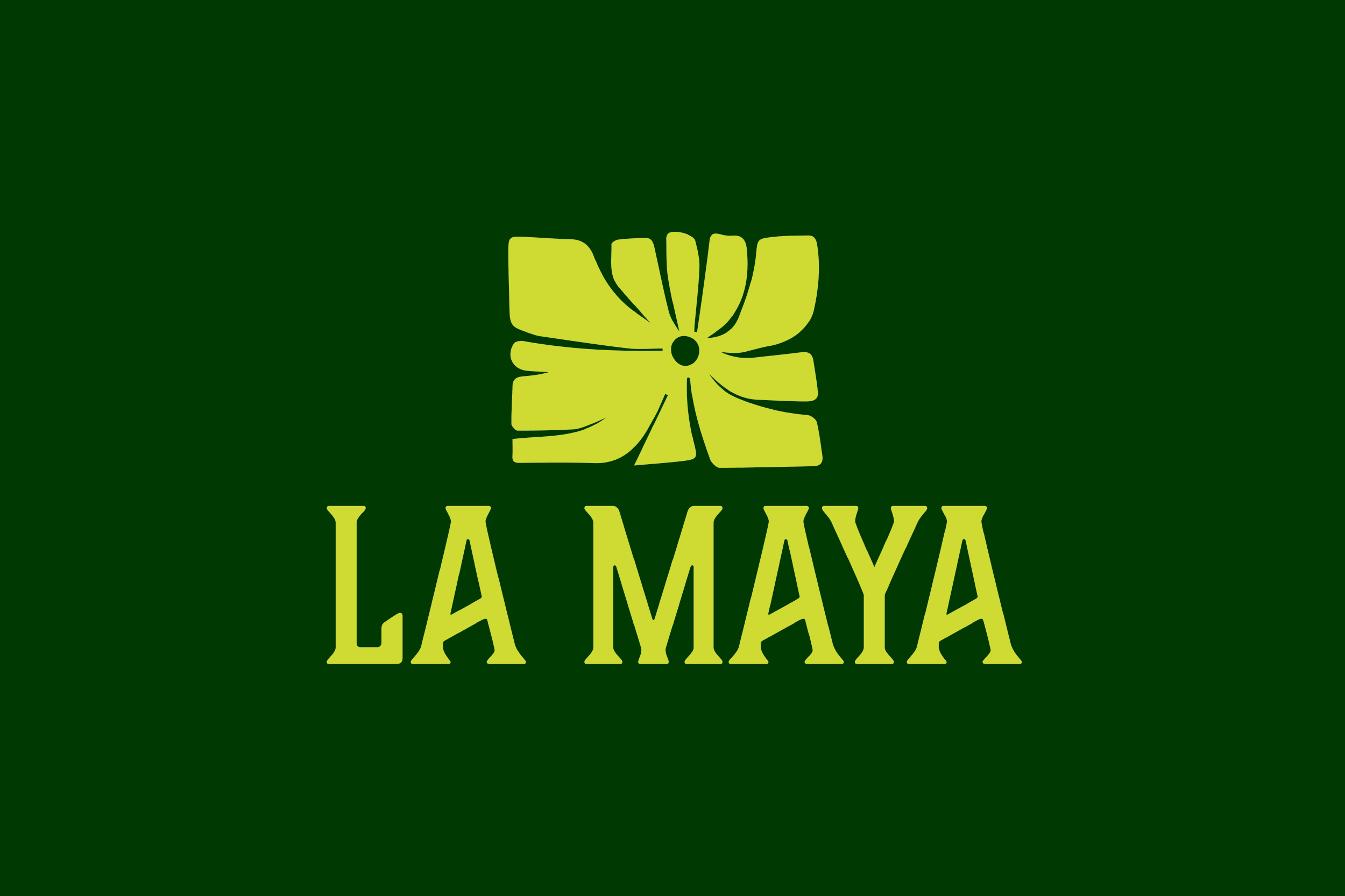 La Maya in Hellertown, PA (3)
