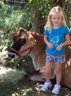 Mountain Valley Farm Store in Ellijay, GA (2)