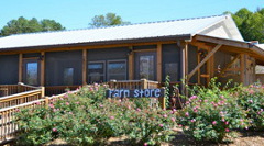 Mountain Valley Farm Store in Ellijay, GA (5)