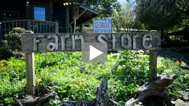 Mountain Valley Farm Store in Ellijay, GA (6)