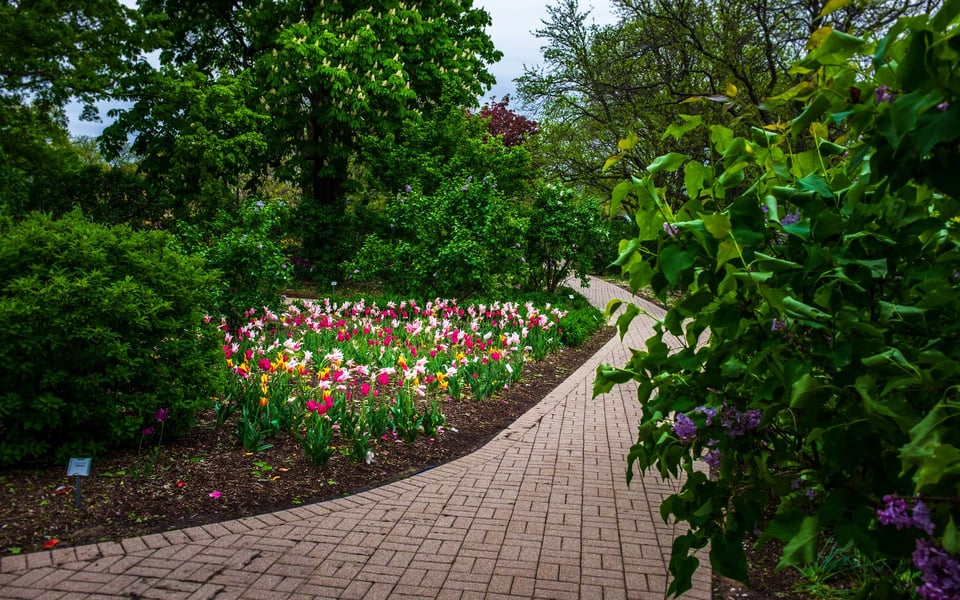 Annamarie Moise in Glen Ellyn, IL (2)