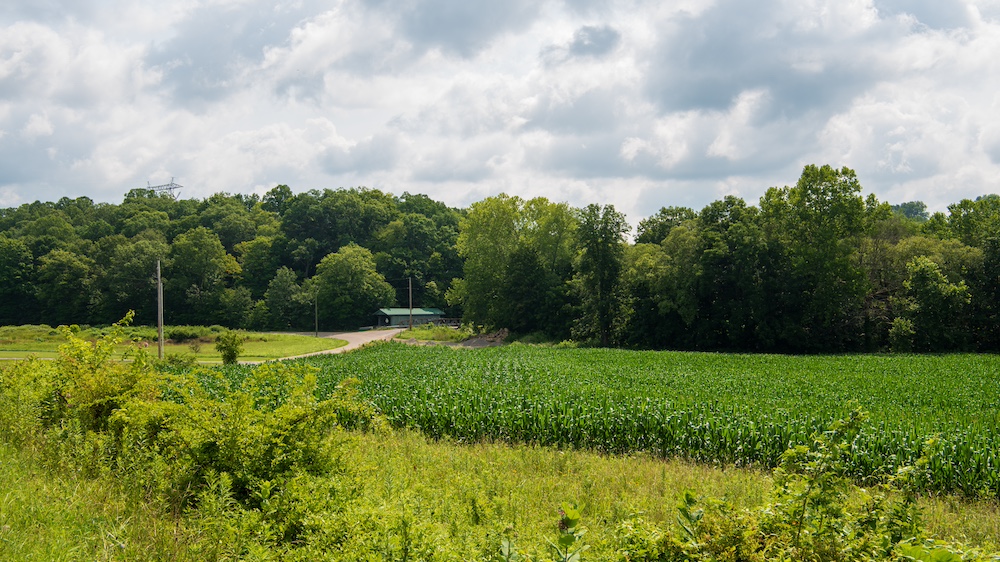 Wendy Esker, Columbus Ohio Realtor® in Pickerington, OH (4)