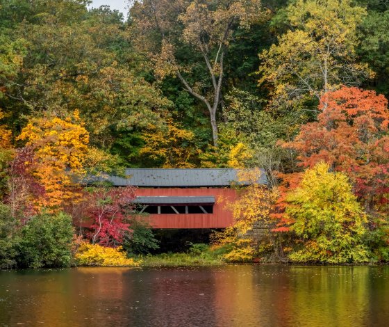 Wendy Esker, Columbus Ohio Realtor® in Pickerington, OH (6)
