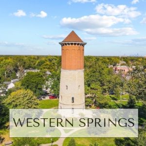 Justyna Burliga Chicagoland Real Estate Broker in La Grange, IL (6)