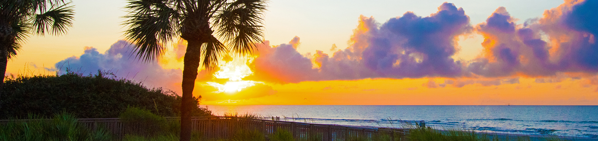 Elaine R. Davis, Realtor in Stuart, FL