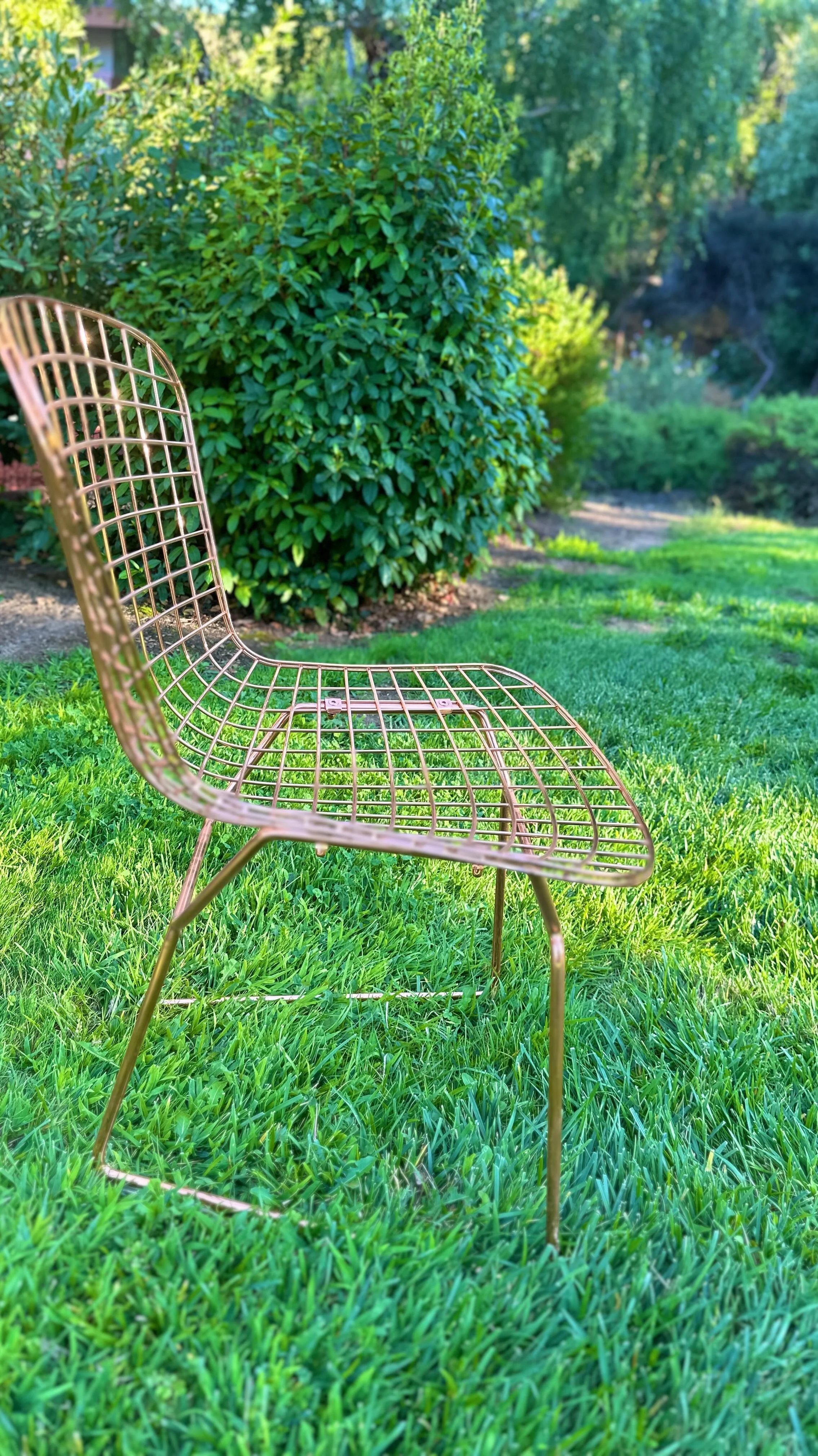 Lo+Co Events | Boutique Rentals in Hercules, CA (3)