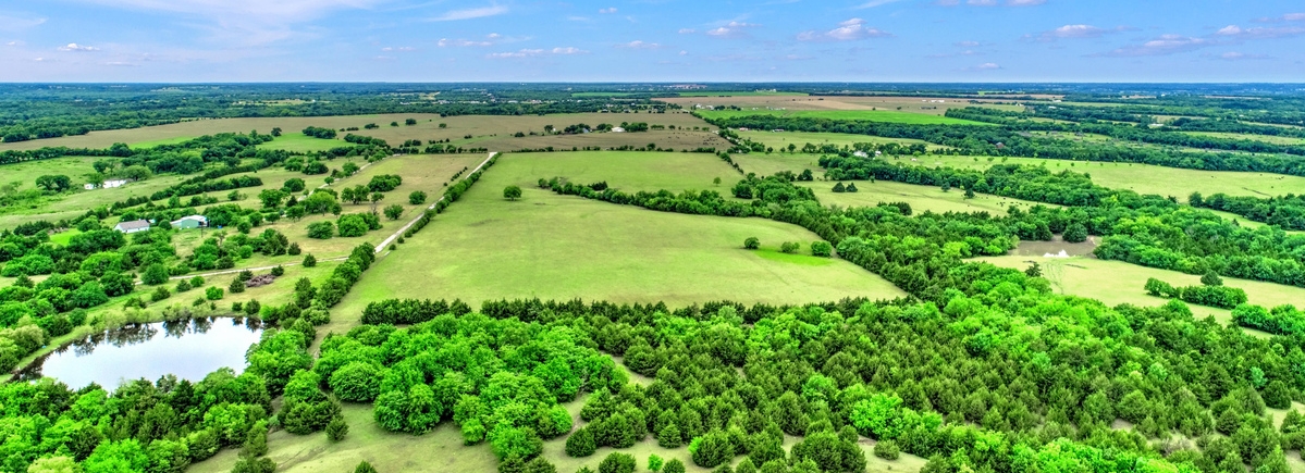 Pettit Realty Group - Paragon Realtors in Van Alstyne, TX (3)