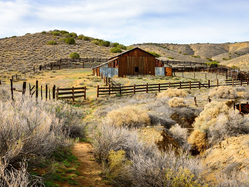 Weber Team Real Estate in San Luis Obispo, CA (4)