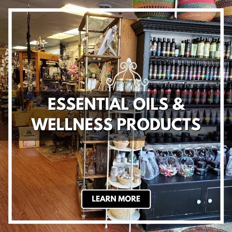 Eclectic Avenue LLC in Port Washington, WI (2)