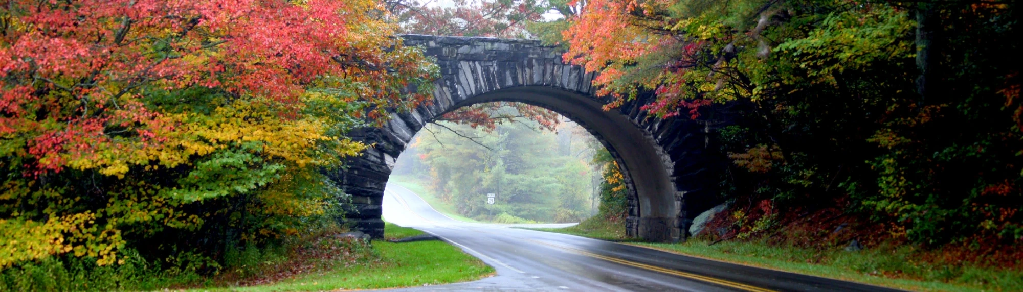 Alleghany County Chamber-Commerce in Sparta, NC (6)