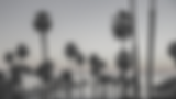 Conrad Realtors Inc. in San Clemente, CA (2)