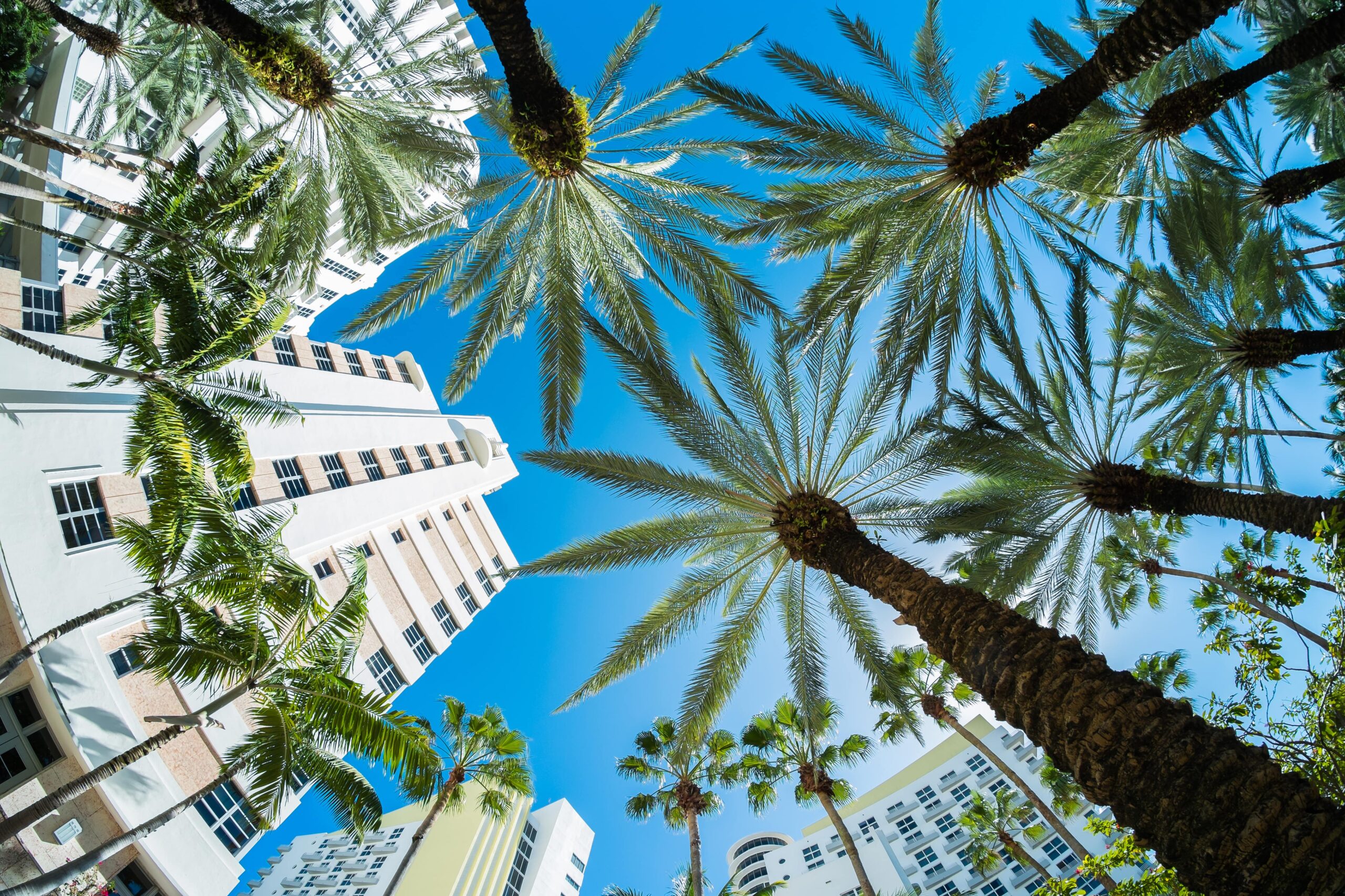 Warner & Fitzmartin Personal Injury Lawyers in Lake Worth Beach, FL