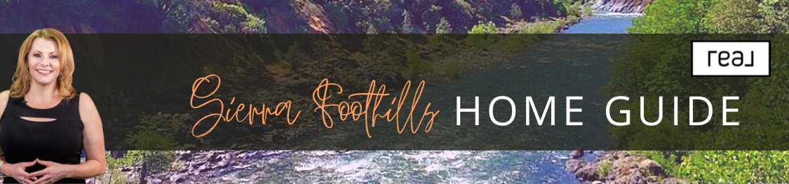 Erin Newington – Colfax Real Estate Agent | Sierra Foothills Realtor in Chicago Park, CA (3)