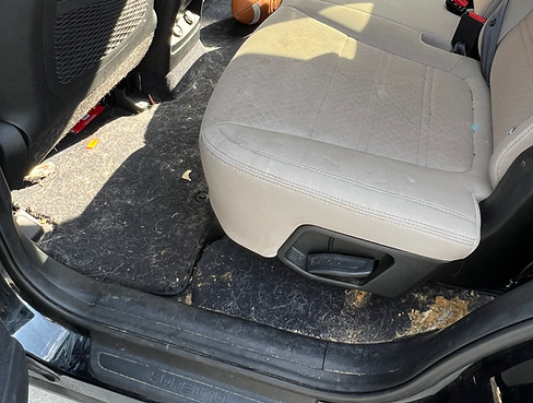 Mecsko Auto Detailing in Mobile, AL (4)