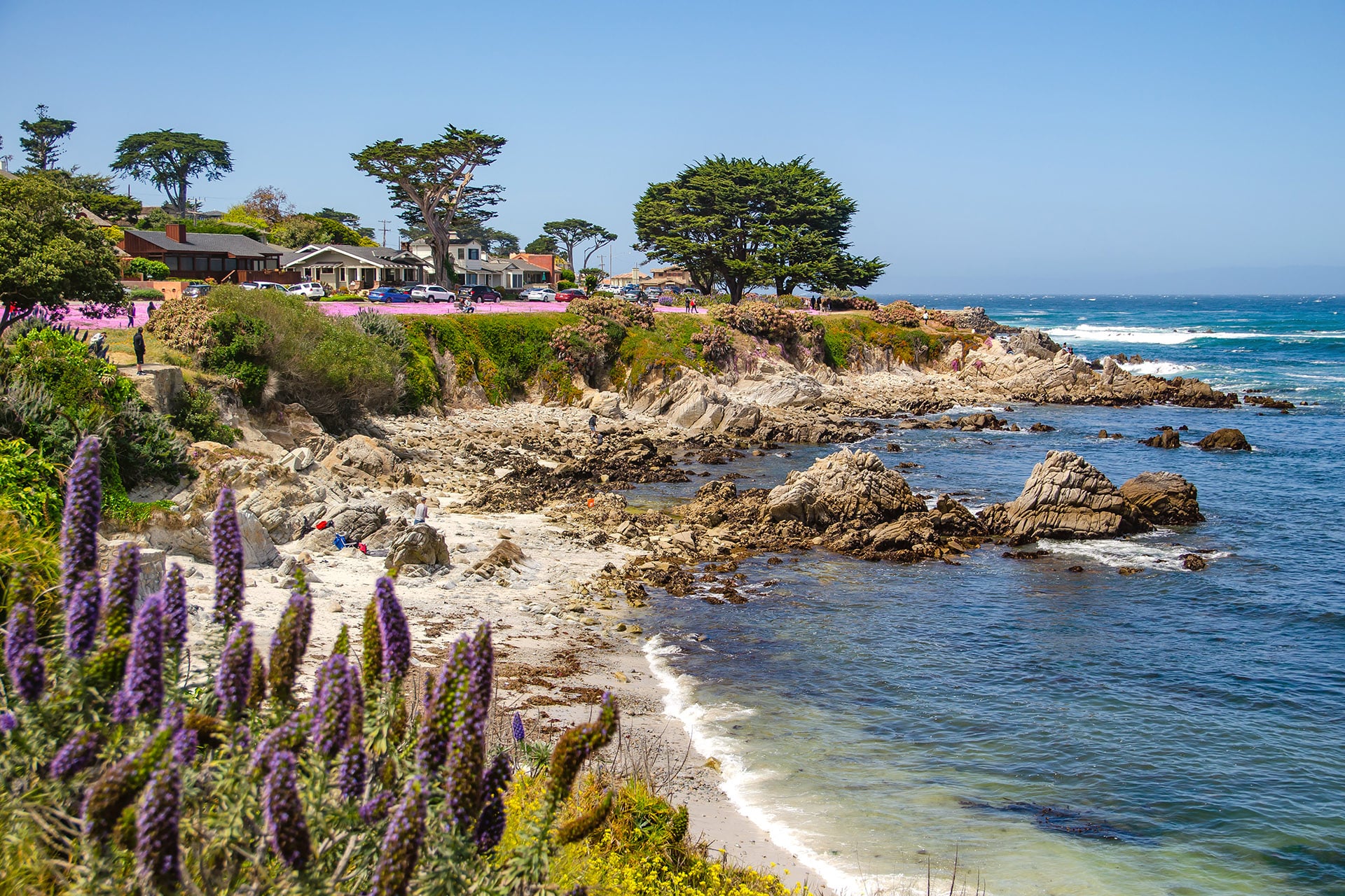 Eric & Stacy Stauffer - Sotheby's International Realty - Pacific Grove in Pacific Grove, CA (3)