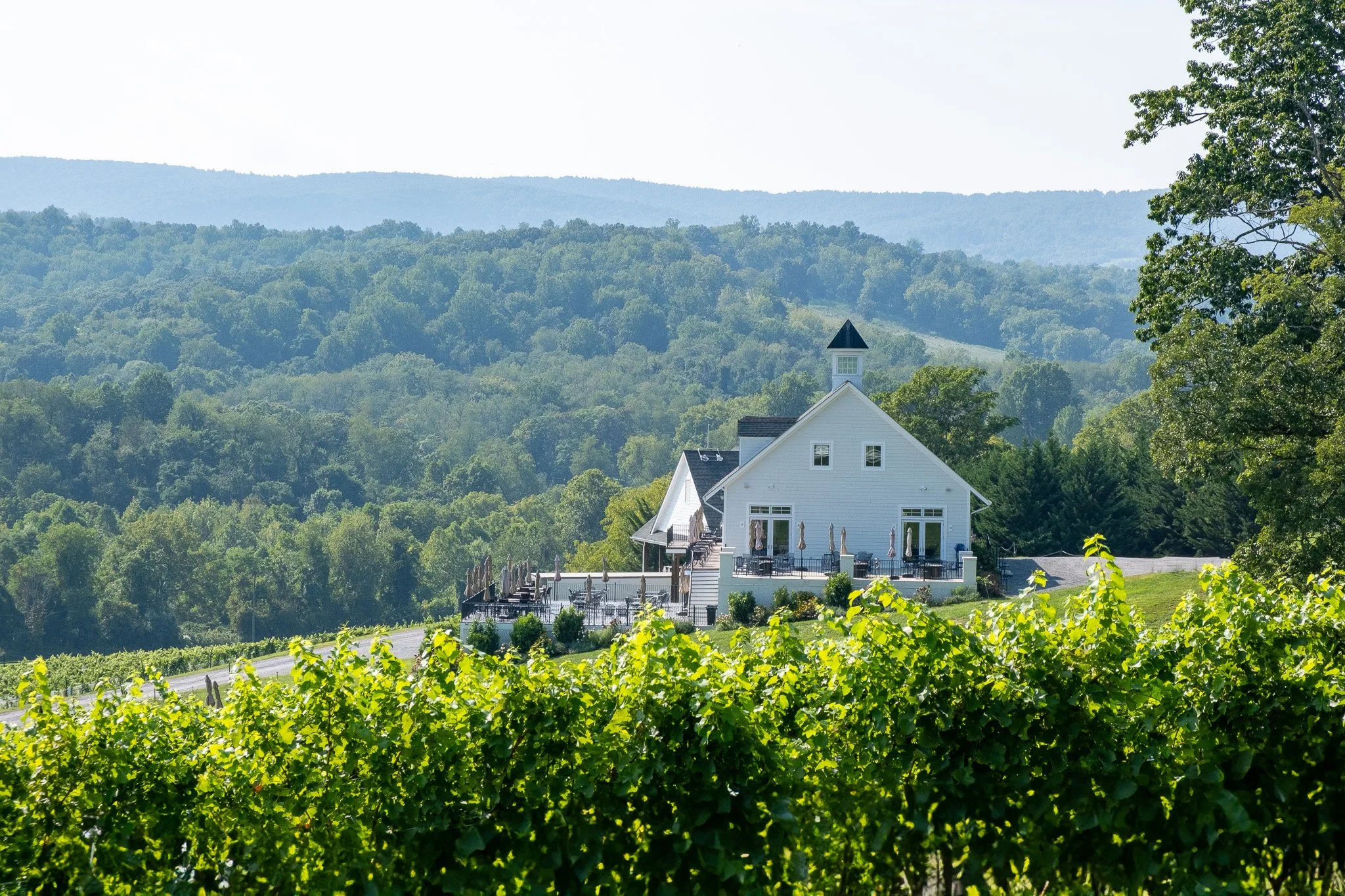 Delaplane Cellars in Delaplane, VA