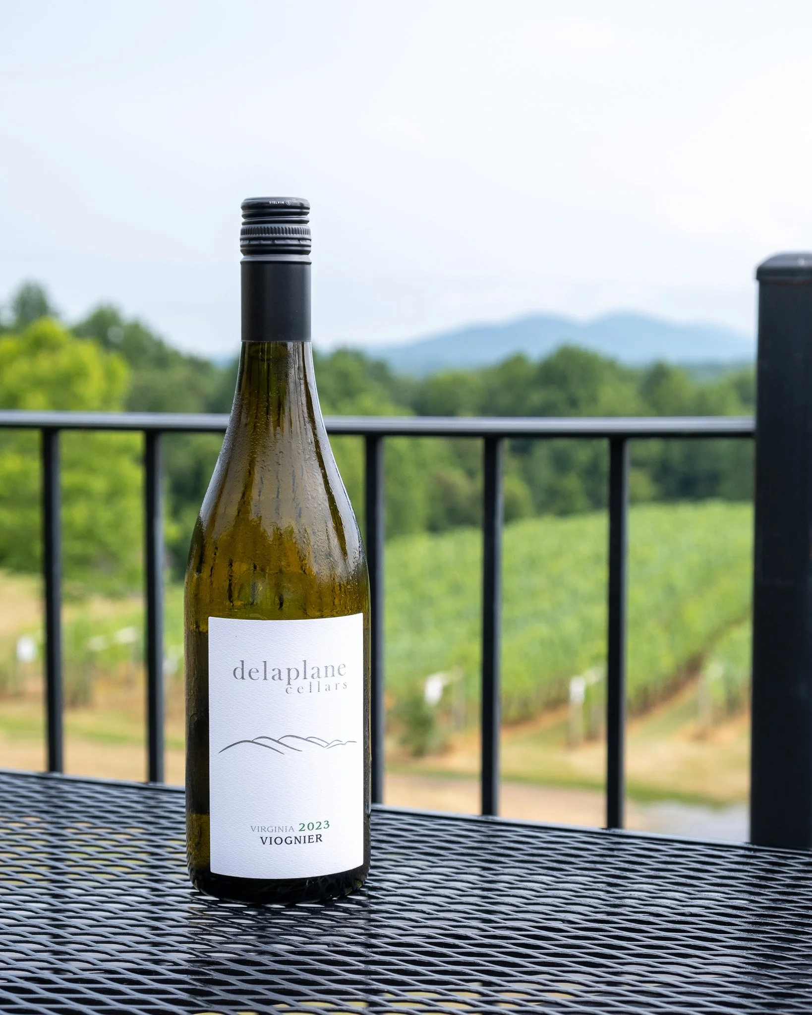 Delaplane Cellars in Delaplane, VA (4)