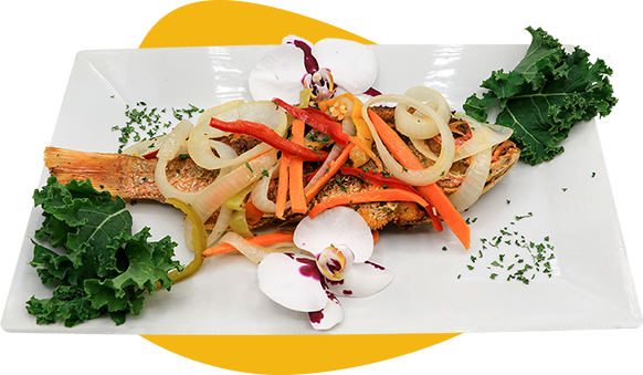 Island Fusion in Rosedale, NY (4)