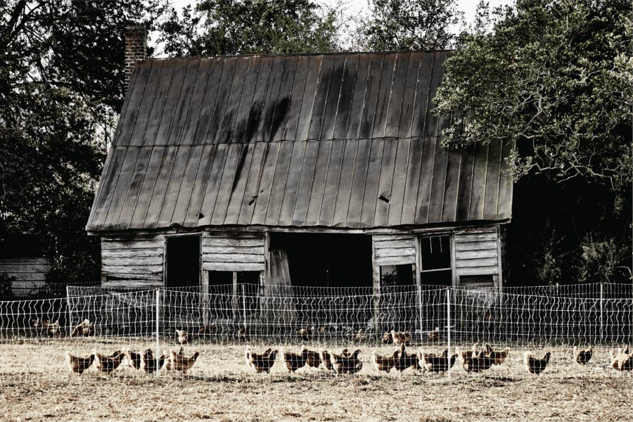 Nectar Farm Kitchen Old Town in Bluffton, SC (4)