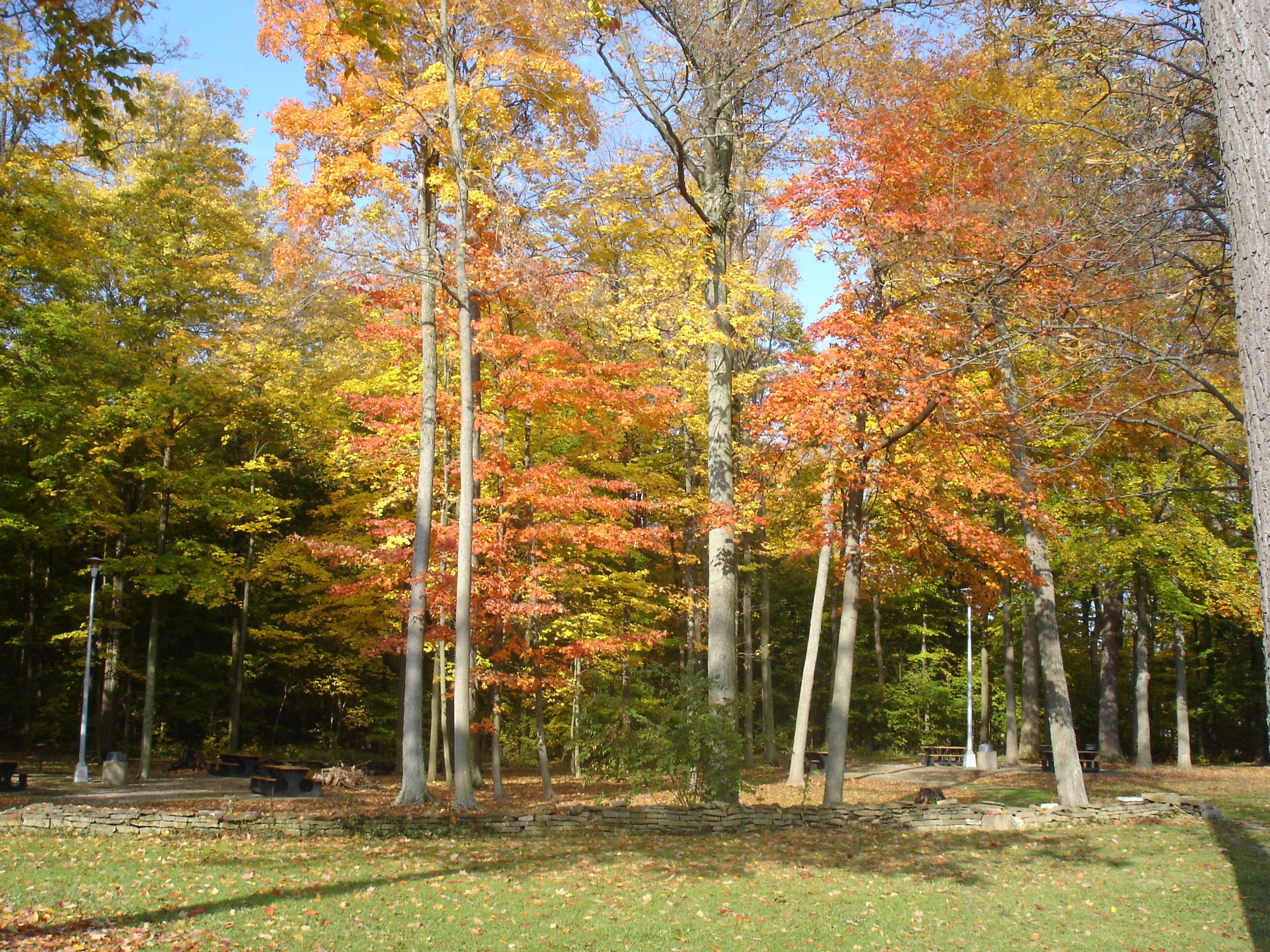 Homes by Kimble LLC in Genoa, OH