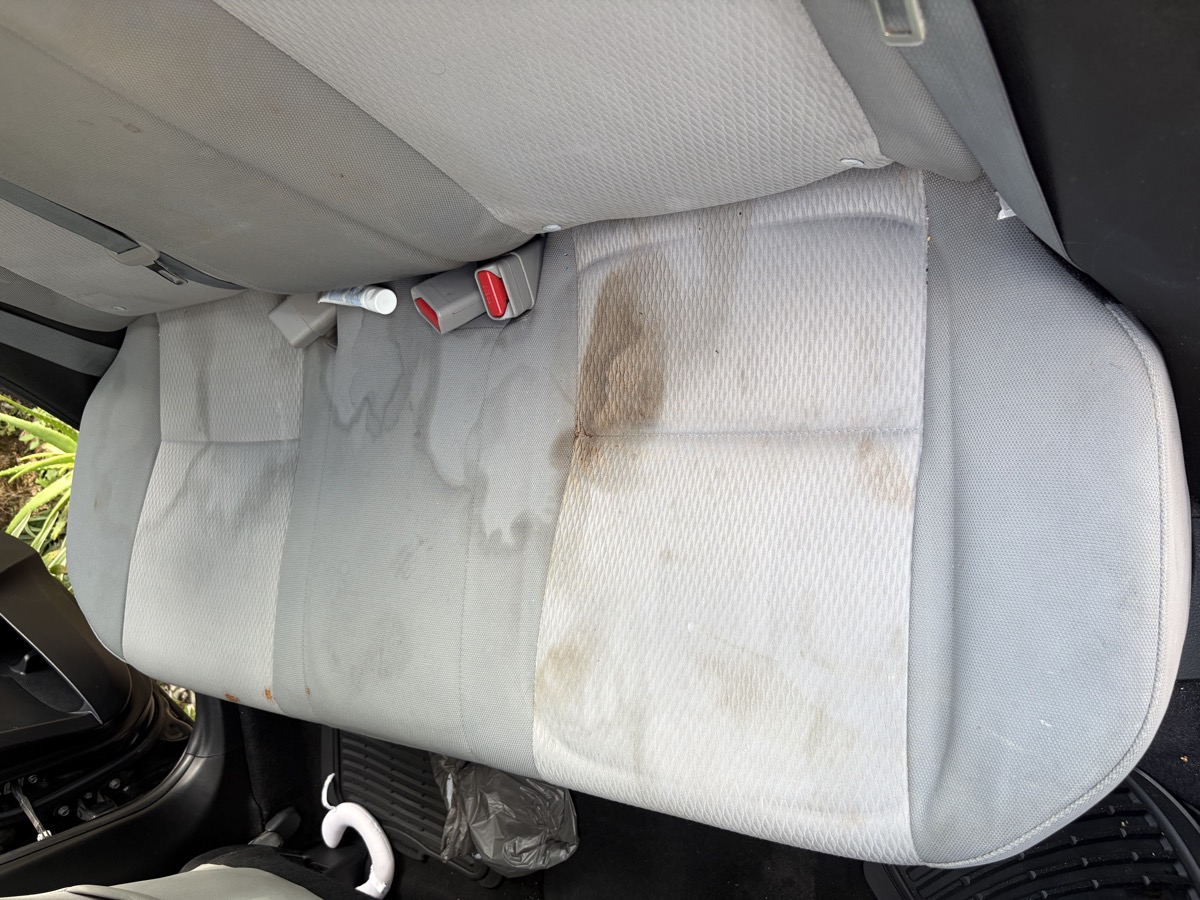 Detailing Mode Mobile Detailing in Hialeah, FL (5)