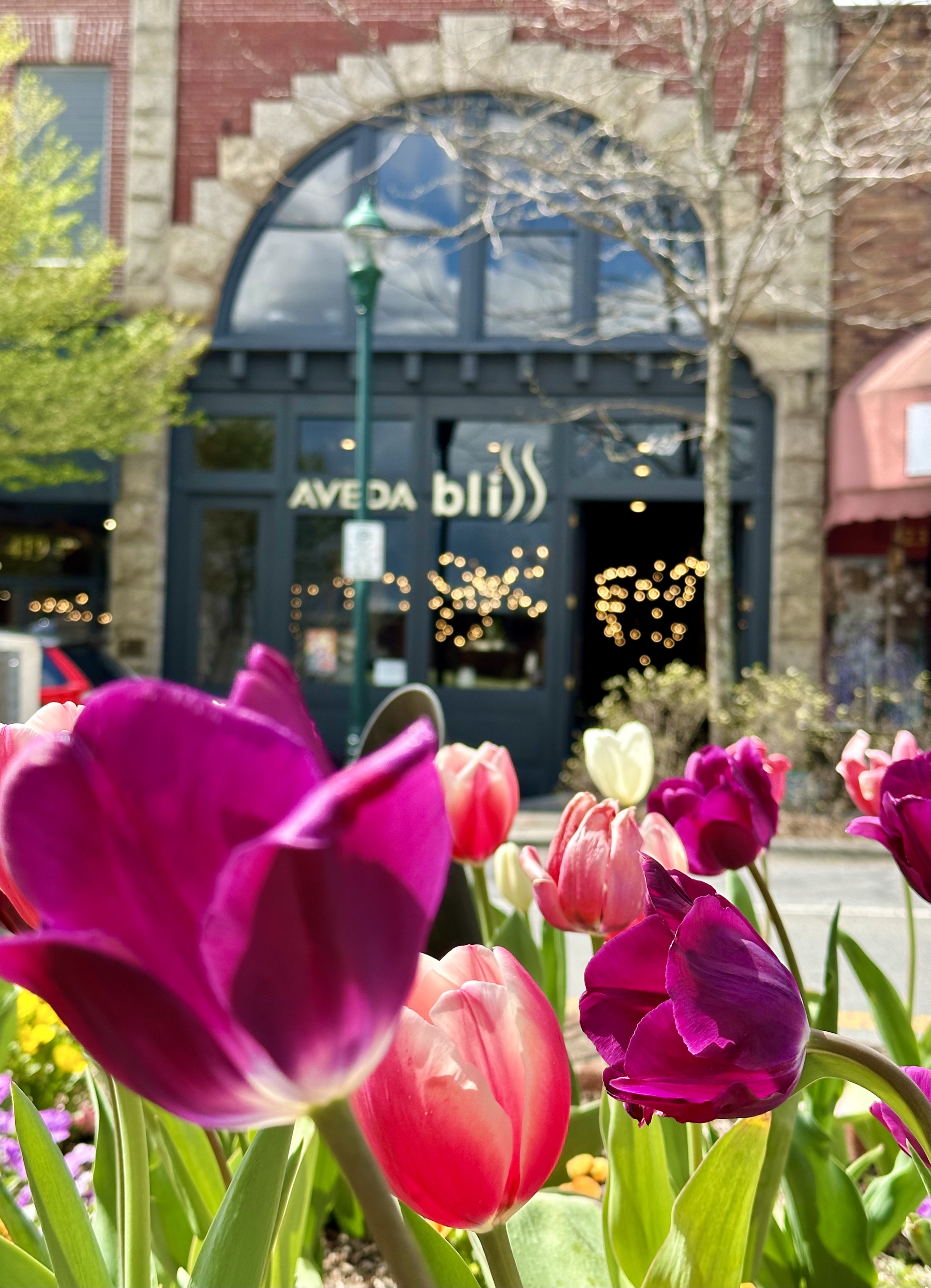 Bliss Salon and Spa in Hendersonville, NC (3)