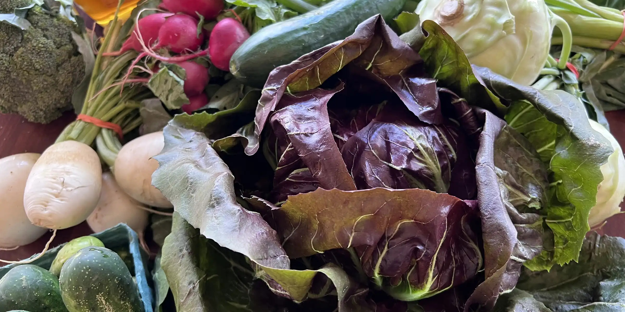 Bistro 101 in Mt Horeb, WI (3)