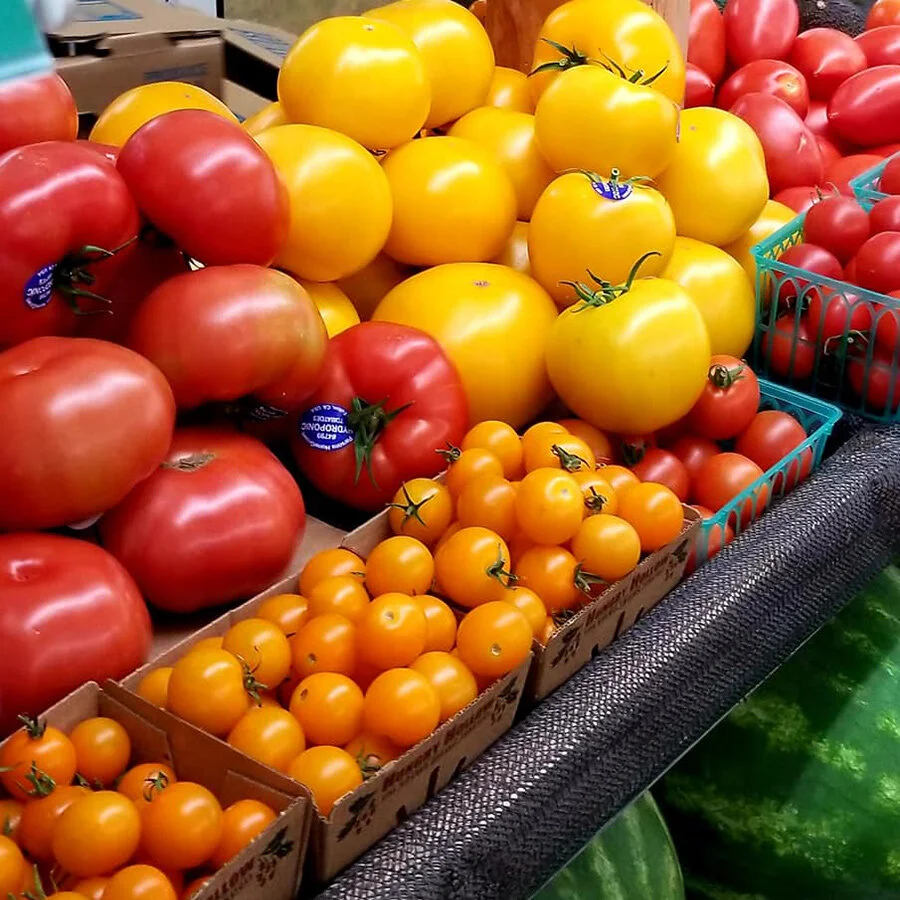 Shelton's Natural Foods Market in Healdsburg, CA (6)