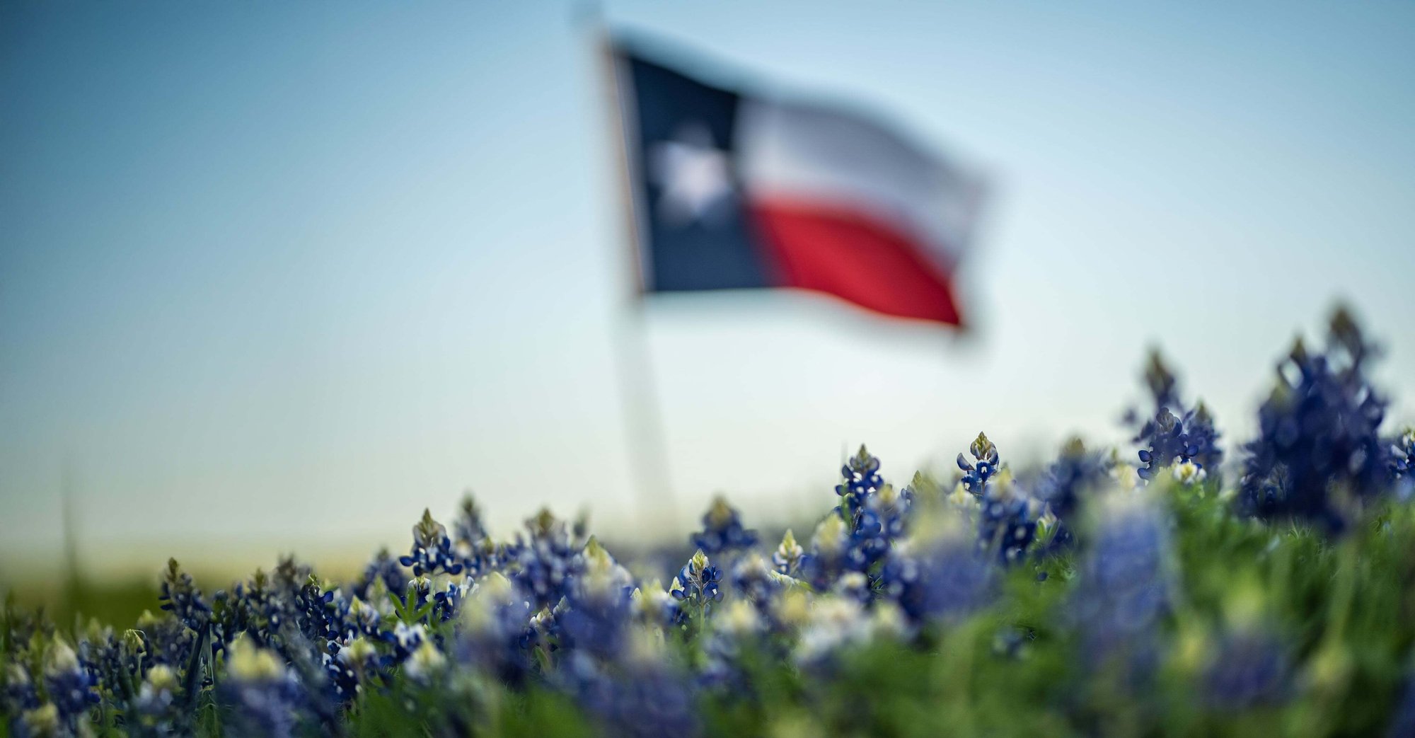 First Bank Texas in Baird, TX (5)
