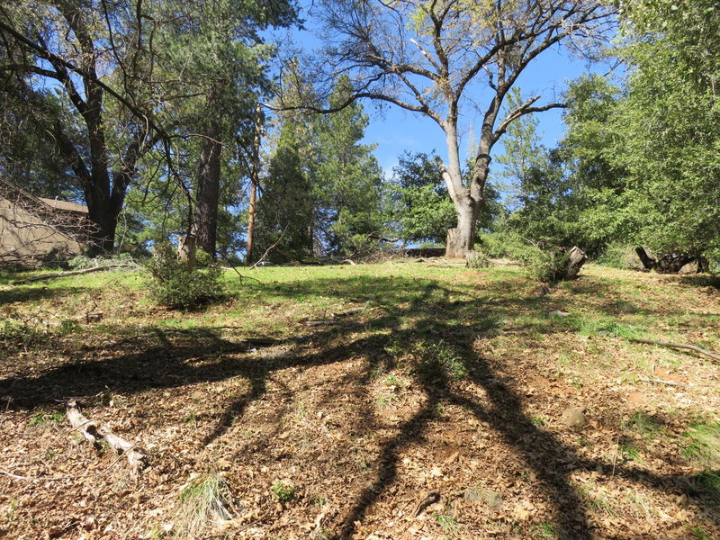 Your Preferred Real Estate in West Point, CA